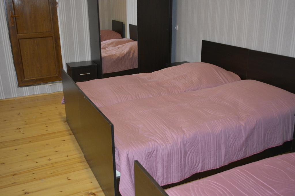 Zaza'S House Hotel Kazbegi Kültér fotó